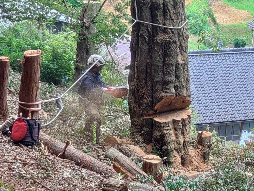 持続可能な林業へ。第2の柱となる新規事業に共に挑戦しませんか？森林資源を価値に変える仲間を募集！