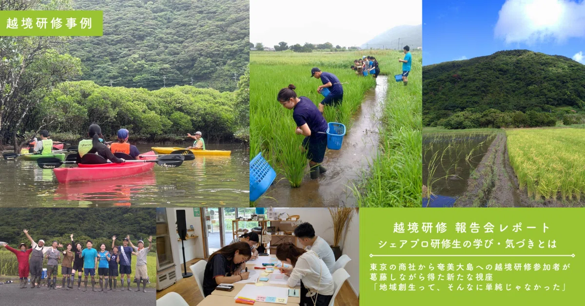 東京の商社から奄美大島への越境研修参加者が葛藤しながら得た新たな視座　「地域創生って、そんなに単純じゃなかった」