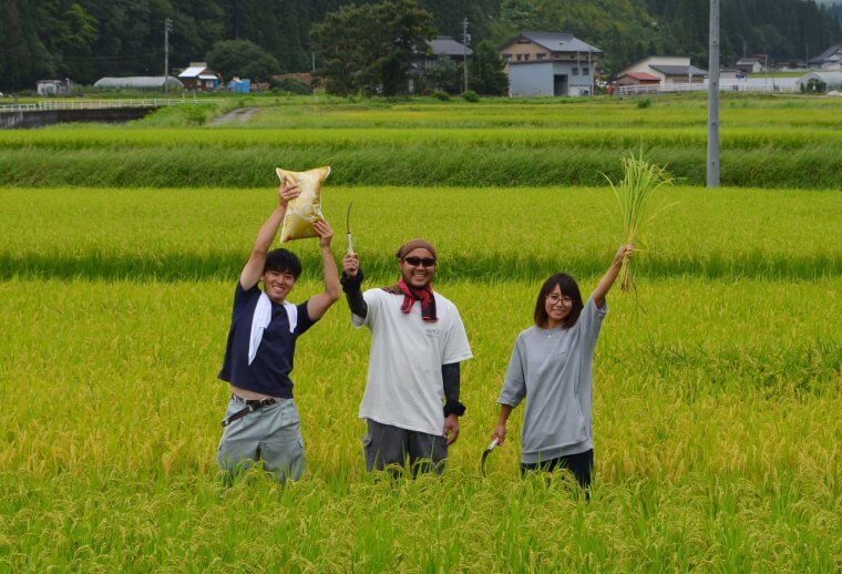 （都市部から参画可）飛騨の米を世界に届けたい！世界最高米の販路拡充プロジェクトメンバー募集！