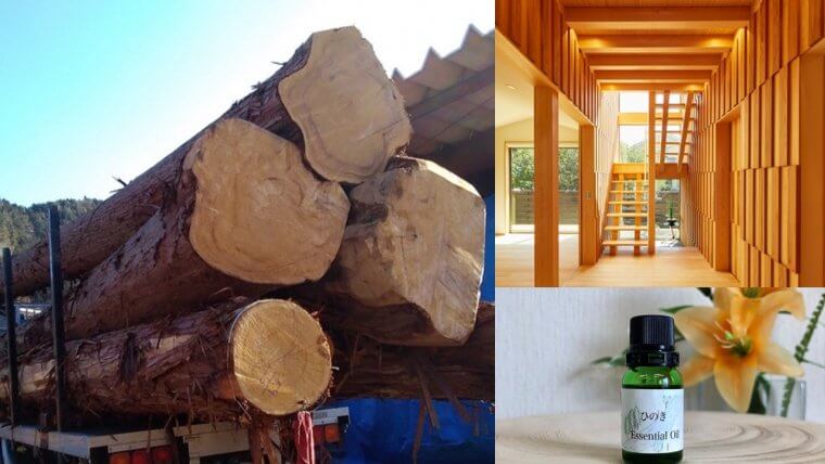 東濃檜を守り抜く。創業約130年、社寺建築で常に必要とされてきた木材屋が、原木一本の価値を最大化する自社オリジナル商品の開発担当者を募集！