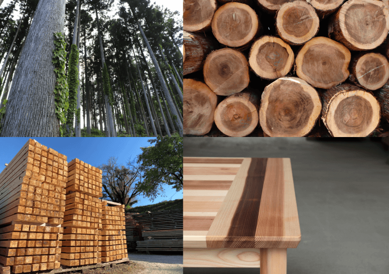 【WEB／デザイン】林業の６次産業化。森林が抱える課題に挑戦する材木屋の取組をWEBで表現したい